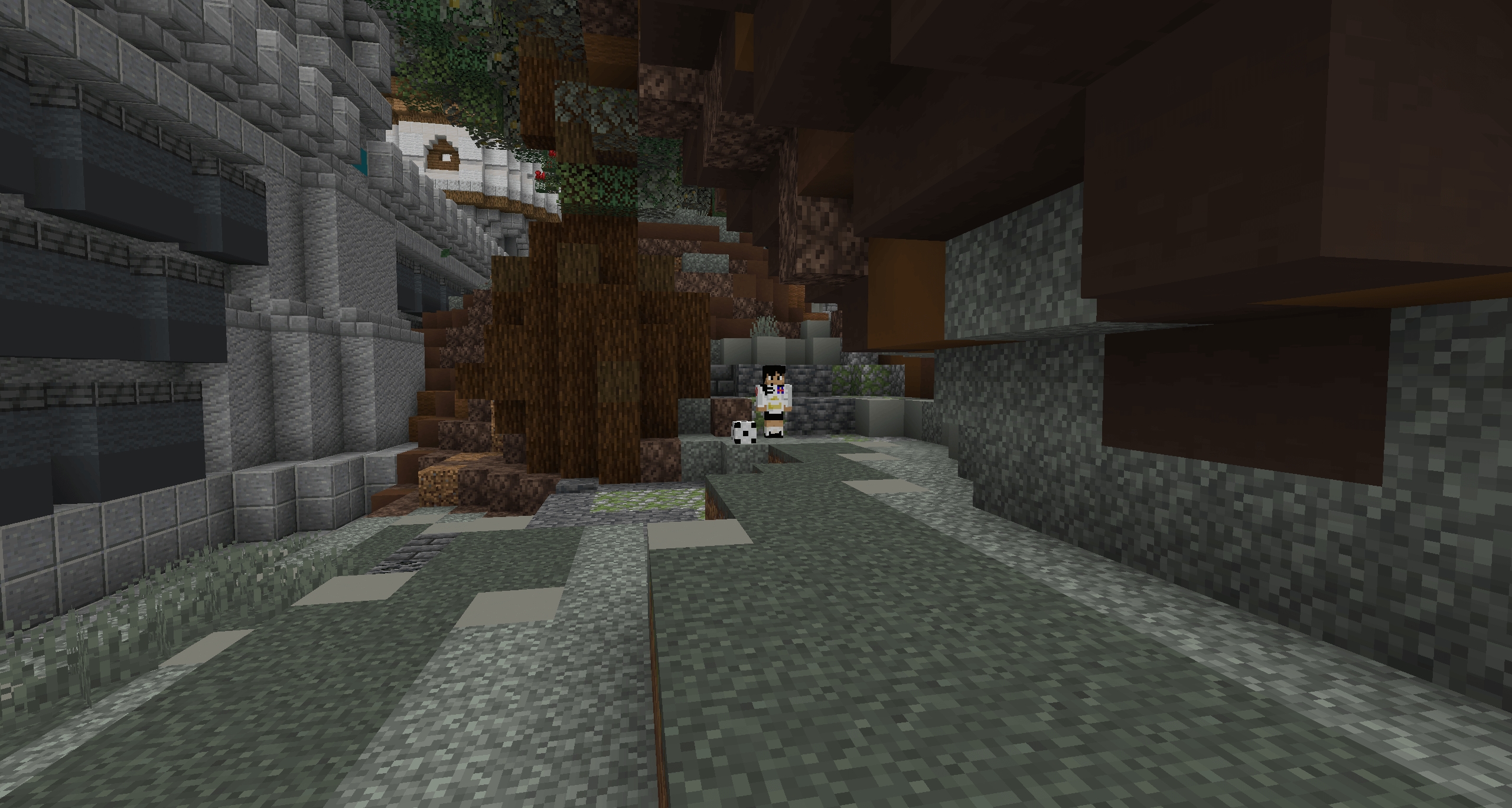 matias fernandez.png